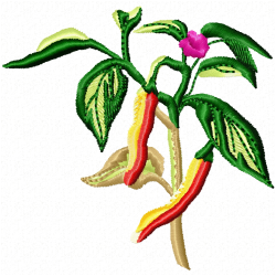 Pepper Embroidery Design 4 Pepper Embroidery Design 4